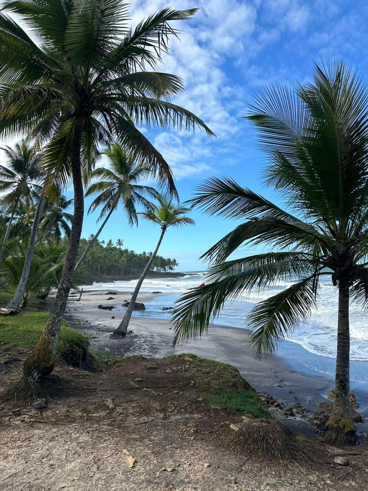Alecrim Hostel E Pousada Velha Boipeba Экстерьер фото