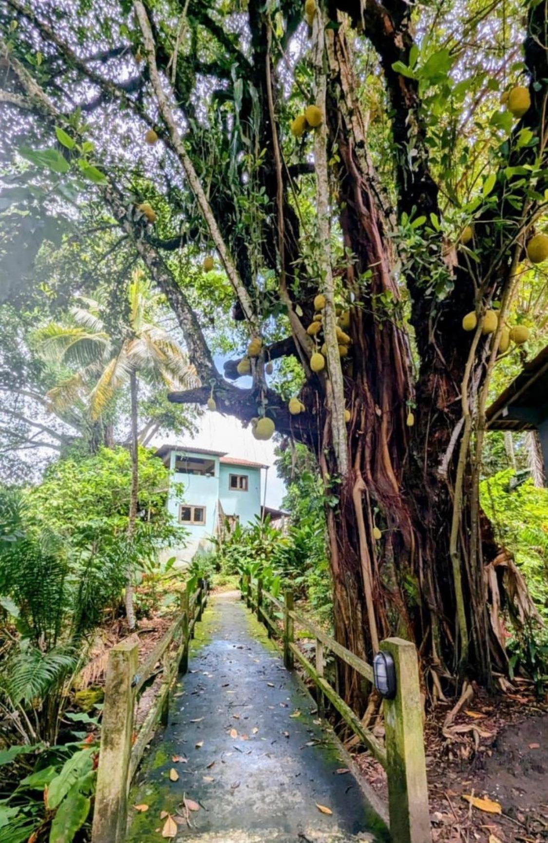 Alecrim Hostel E Pousada Velha Boipeba Экстерьер фото